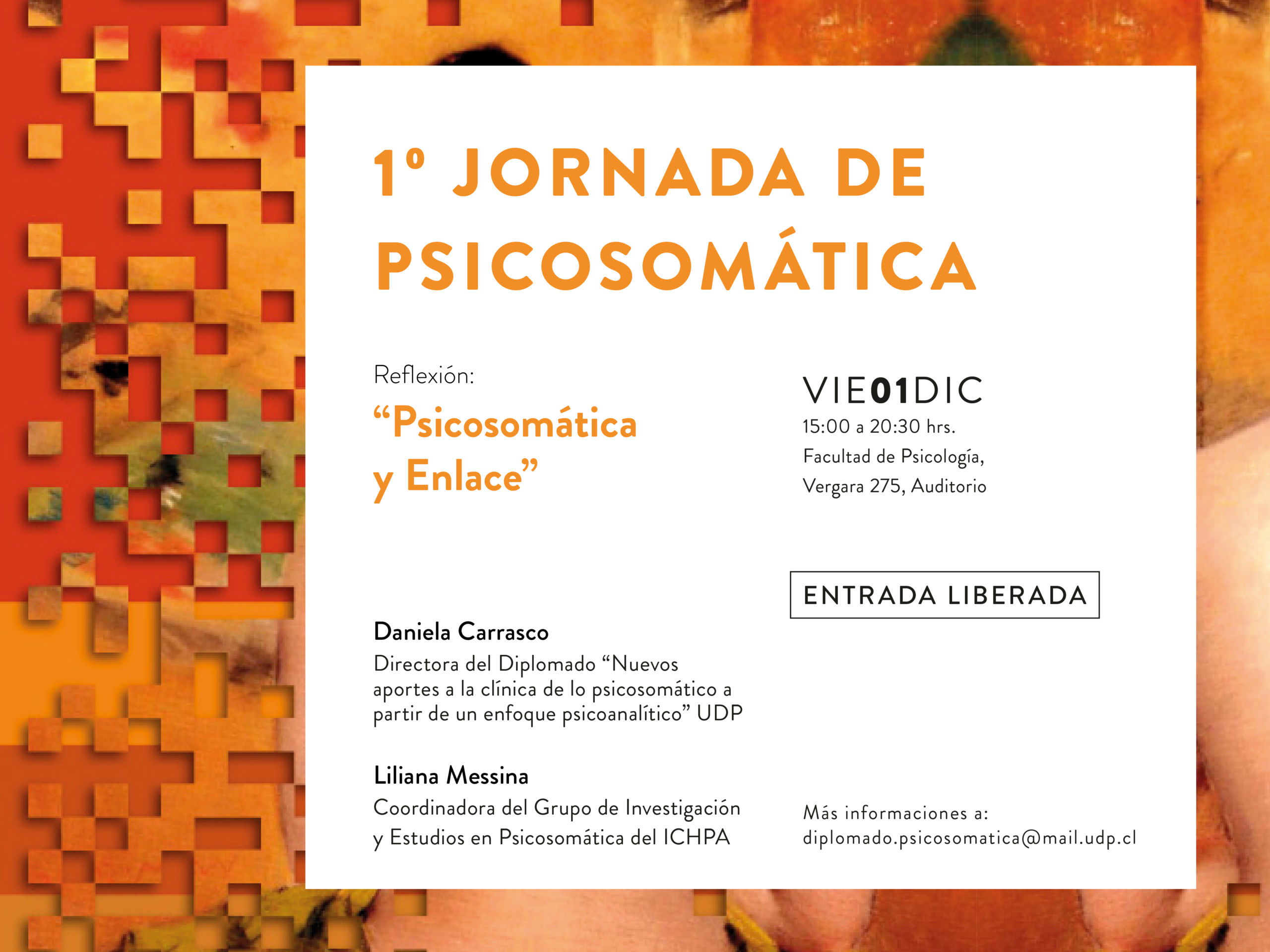 16_UDP_JornadaPsicomaatica_Bajadas_Pantalla Led